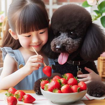 توت فرنگی برای سگ مفید است